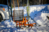 (c)ABSF Wendy Miller 2-21-2020 Adaptive Ski HR-5691