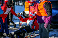 (c)ABSF Wendy Miller 2-21-2020 Adaptive Ski HR-5708